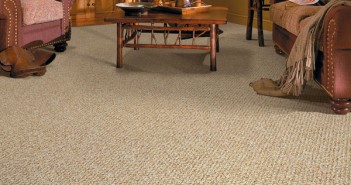 Advantages and Disadvantages of Having Carpets at Home