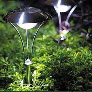 Landscape Lighting