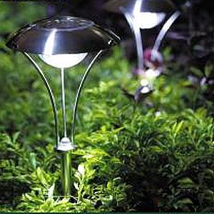 Landscape Lighting